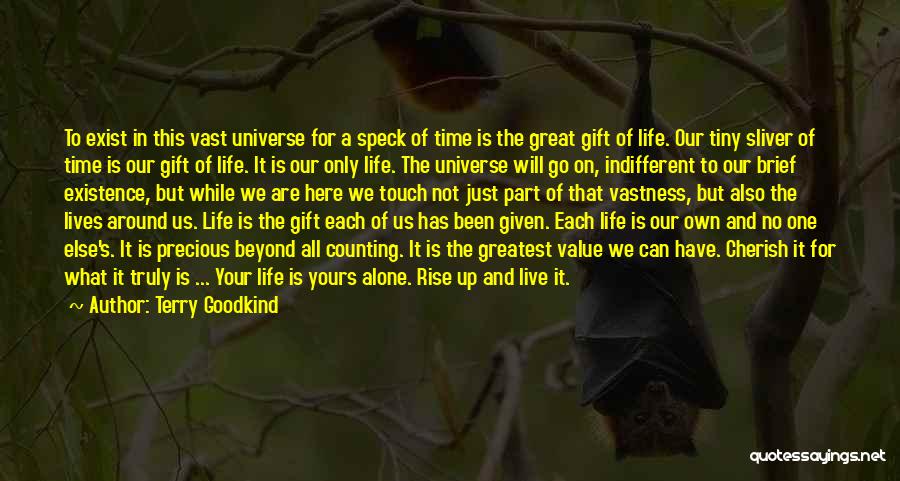 Terry Goodkind Quotes: To Exist In This Vast Universe For A Speck Of Time Is The Great Gift Of Life. Our Tiny Sliver