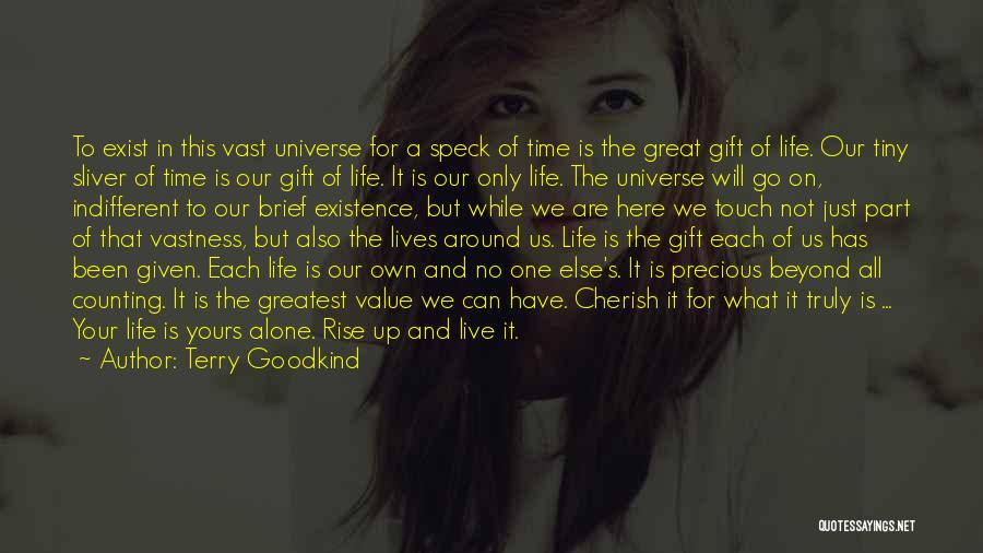 Terry Goodkind Quotes: To Exist In This Vast Universe For A Speck Of Time Is The Great Gift Of Life. Our Tiny Sliver