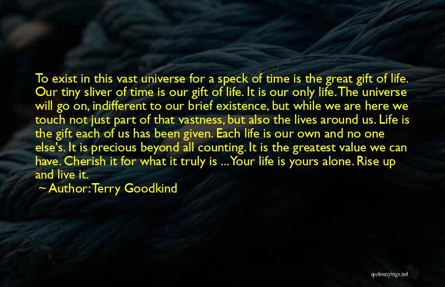 Terry Goodkind Quotes: To Exist In This Vast Universe For A Speck Of Time Is The Great Gift Of Life. Our Tiny Sliver