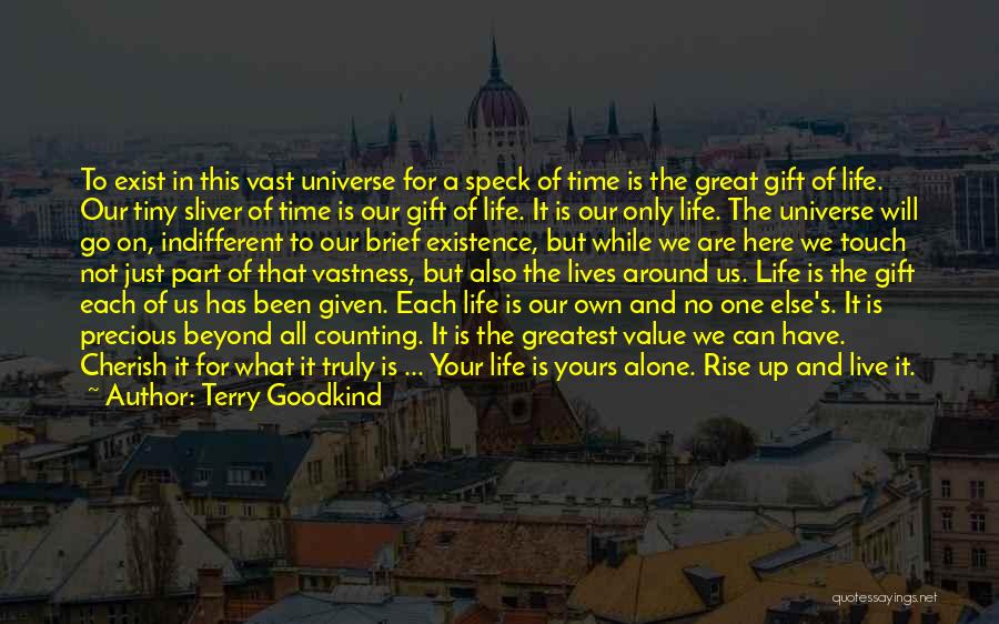 Terry Goodkind Quotes: To Exist In This Vast Universe For A Speck Of Time Is The Great Gift Of Life. Our Tiny Sliver