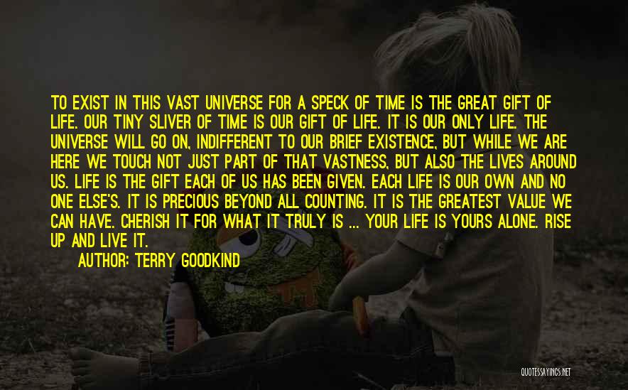 Terry Goodkind Quotes: To Exist In This Vast Universe For A Speck Of Time Is The Great Gift Of Life. Our Tiny Sliver