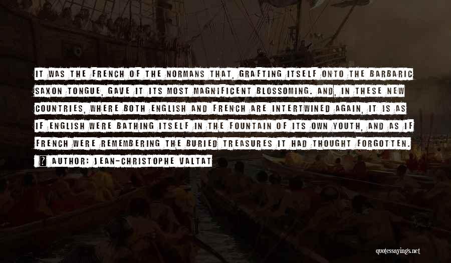 Jean-Christophe Valtat Quotes: It Was The French Of The Normans That, Grafting Itself Onto The Barbaric Saxon Tongue, Gave It Its Most Magnificent
