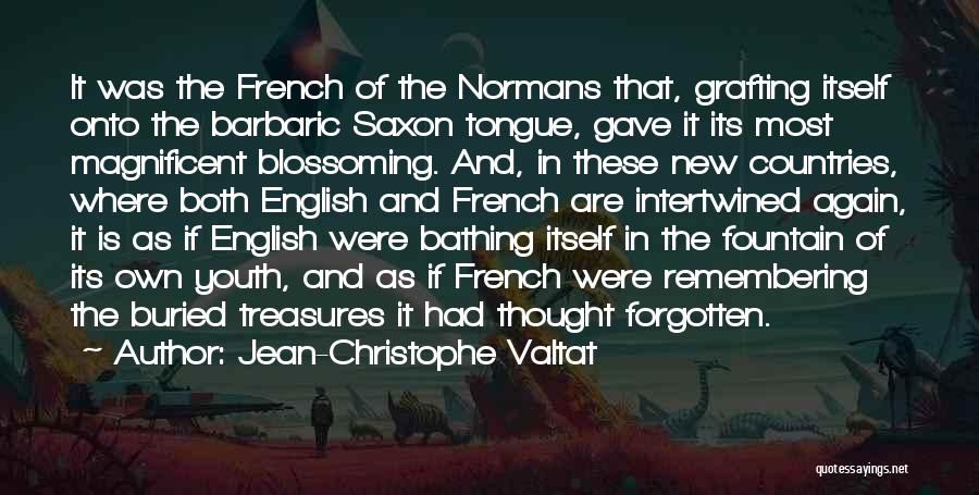 Jean-Christophe Valtat Quotes: It Was The French Of The Normans That, Grafting Itself Onto The Barbaric Saxon Tongue, Gave It Its Most Magnificent