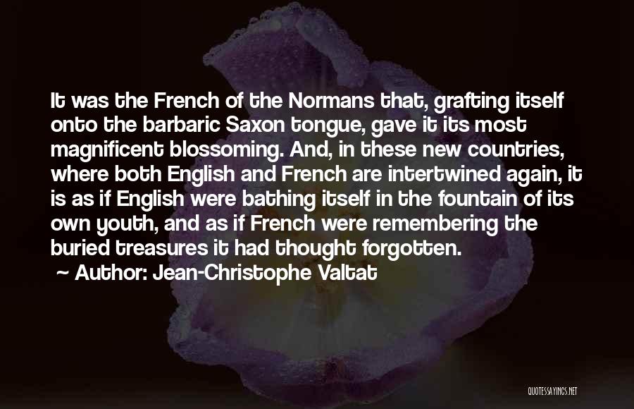 Jean-Christophe Valtat Quotes: It Was The French Of The Normans That, Grafting Itself Onto The Barbaric Saxon Tongue, Gave It Its Most Magnificent