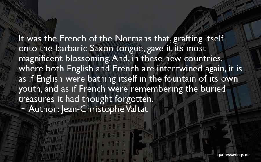 Jean-Christophe Valtat Quotes: It Was The French Of The Normans That, Grafting Itself Onto The Barbaric Saxon Tongue, Gave It Its Most Magnificent