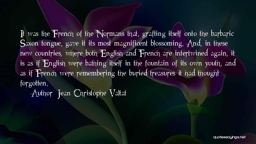 Jean-Christophe Valtat Quotes: It Was The French Of The Normans That, Grafting Itself Onto The Barbaric Saxon Tongue, Gave It Its Most Magnificent