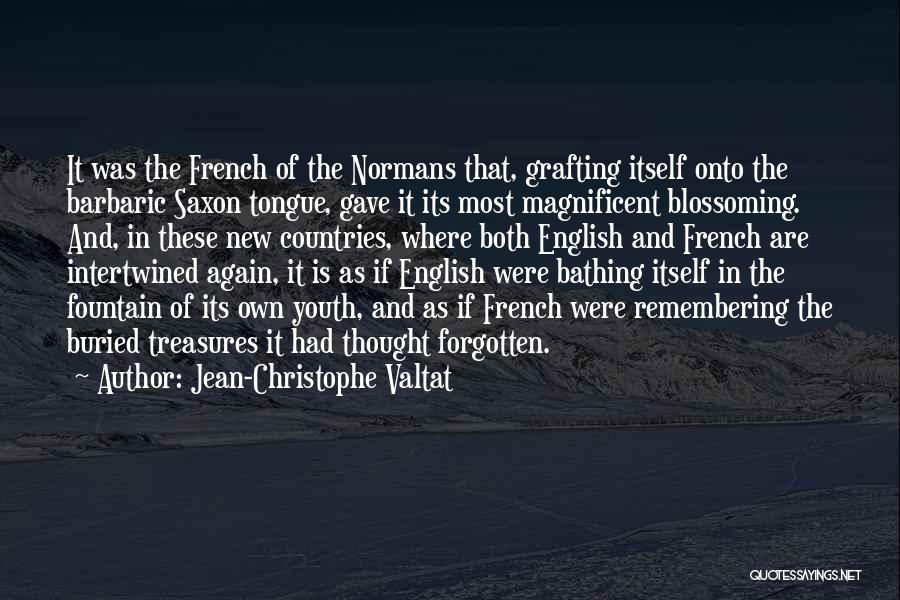 Jean-Christophe Valtat Quotes: It Was The French Of The Normans That, Grafting Itself Onto The Barbaric Saxon Tongue, Gave It Its Most Magnificent