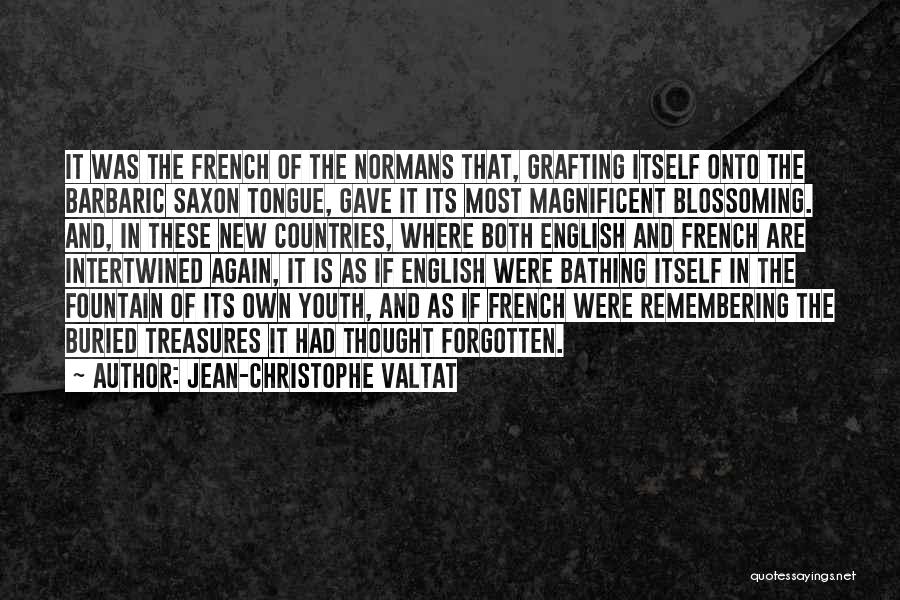 Jean-Christophe Valtat Quotes: It Was The French Of The Normans That, Grafting Itself Onto The Barbaric Saxon Tongue, Gave It Its Most Magnificent