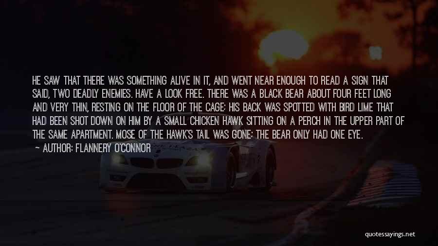 Flannery O'Connor Quotes: He Saw That There Was Something Alive In It, And Went Near Enough To Read A Sign That Said, Two