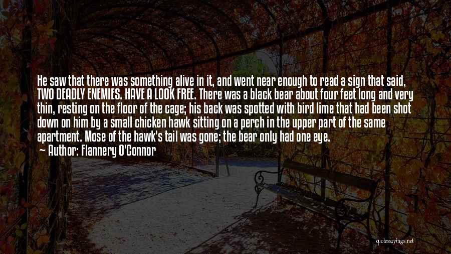 Flannery O'Connor Quotes: He Saw That There Was Something Alive In It, And Went Near Enough To Read A Sign That Said, Two
