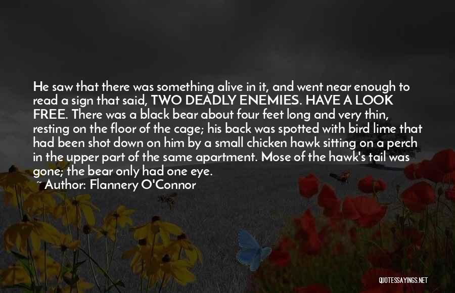 Flannery O'Connor Quotes: He Saw That There Was Something Alive In It, And Went Near Enough To Read A Sign That Said, Two