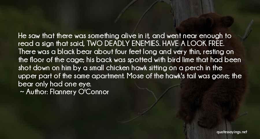 Flannery O'Connor Quotes: He Saw That There Was Something Alive In It, And Went Near Enough To Read A Sign That Said, Two