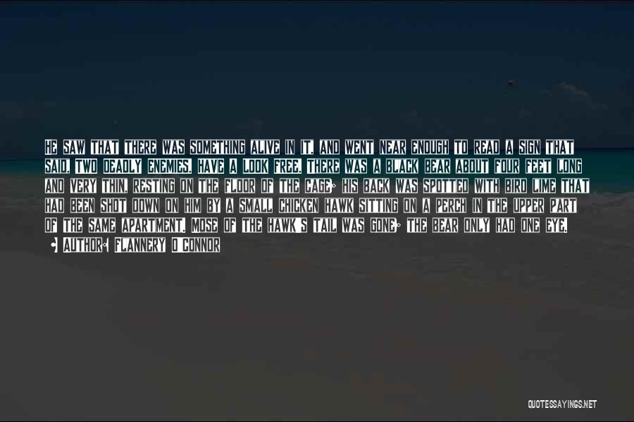 Flannery O'Connor Quotes: He Saw That There Was Something Alive In It, And Went Near Enough To Read A Sign That Said, Two