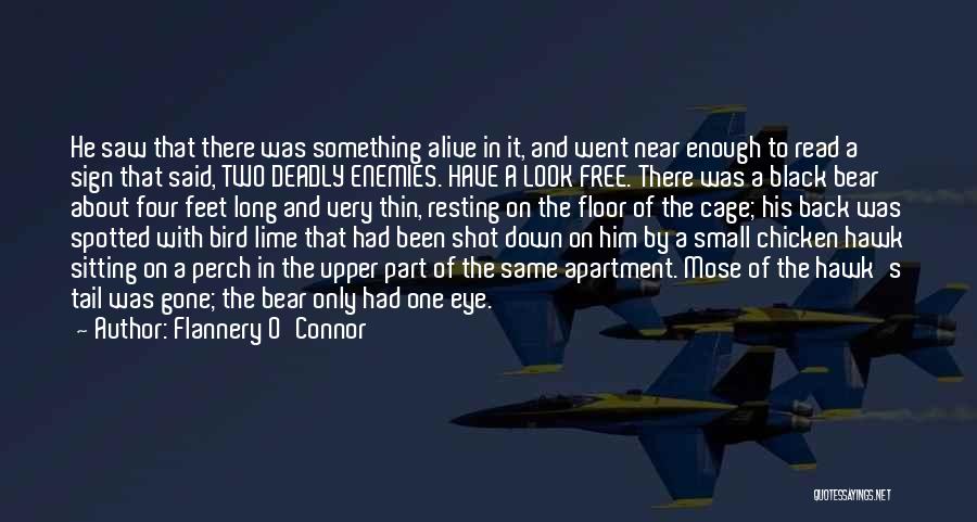 Flannery O'Connor Quotes: He Saw That There Was Something Alive In It, And Went Near Enough To Read A Sign That Said, Two