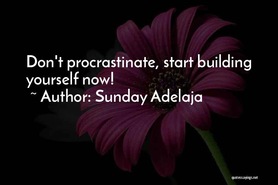 Sunday Adelaja Quotes: Don't Procrastinate, Start Building Yourself Now!
