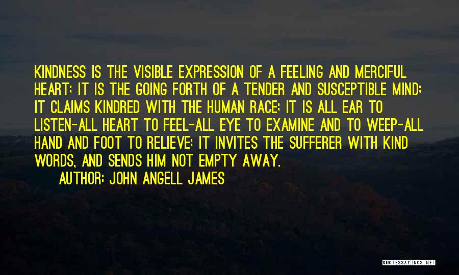 John Angell James Quotes: Kindness Is The Visible Expression Of A Feeling And Merciful Heart; It Is The Going Forth Of A Tender And