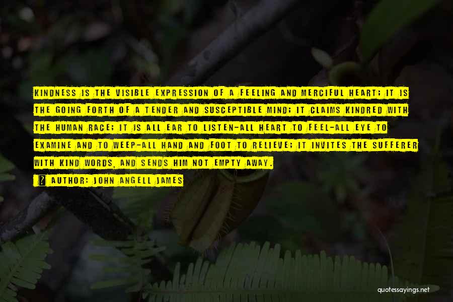 John Angell James Quotes: Kindness Is The Visible Expression Of A Feeling And Merciful Heart; It Is The Going Forth Of A Tender And