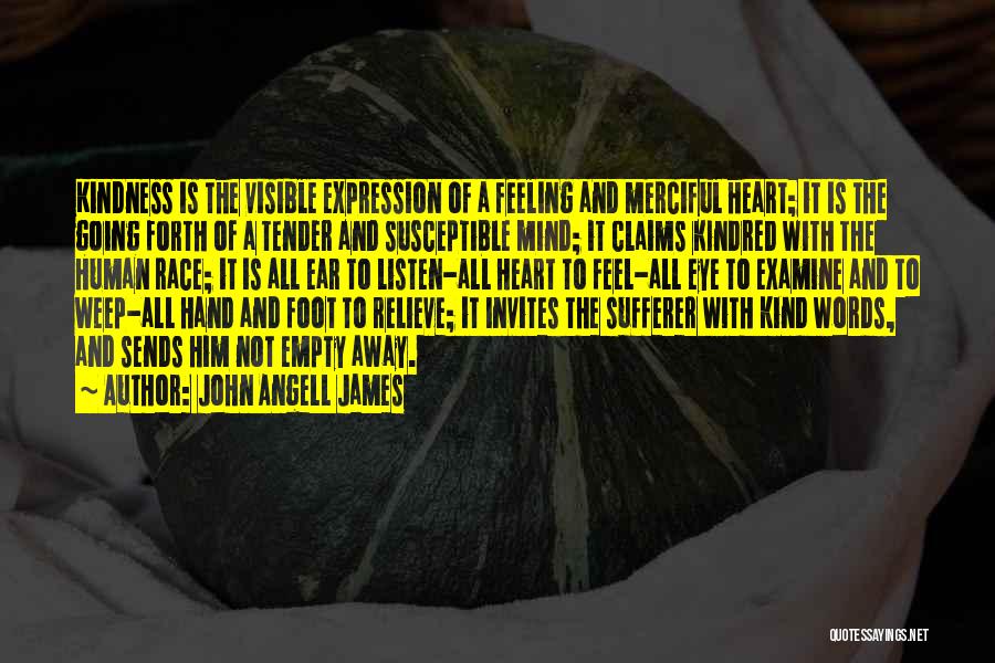 John Angell James Quotes: Kindness Is The Visible Expression Of A Feeling And Merciful Heart; It Is The Going Forth Of A Tender And