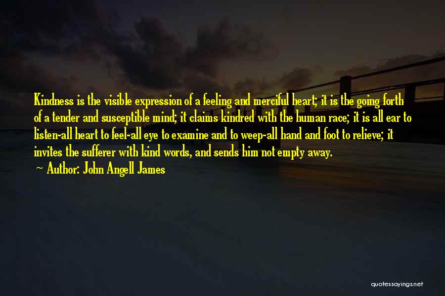 John Angell James Quotes: Kindness Is The Visible Expression Of A Feeling And Merciful Heart; It Is The Going Forth Of A Tender And