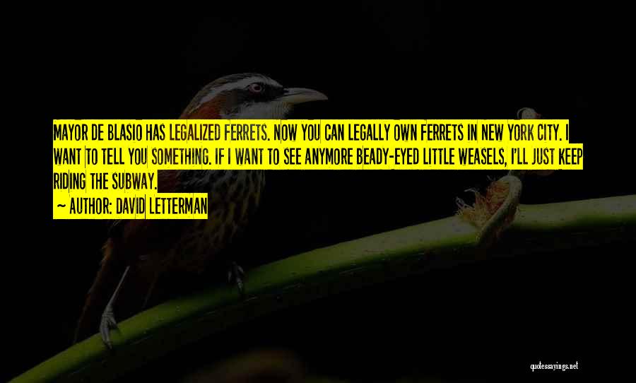 David Letterman Quotes: Mayor De Blasio Has Legalized Ferrets. Now You Can Legally Own Ferrets In New York City. I Want To Tell
