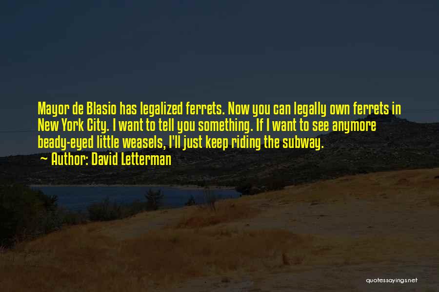 David Letterman Quotes: Mayor De Blasio Has Legalized Ferrets. Now You Can Legally Own Ferrets In New York City. I Want To Tell