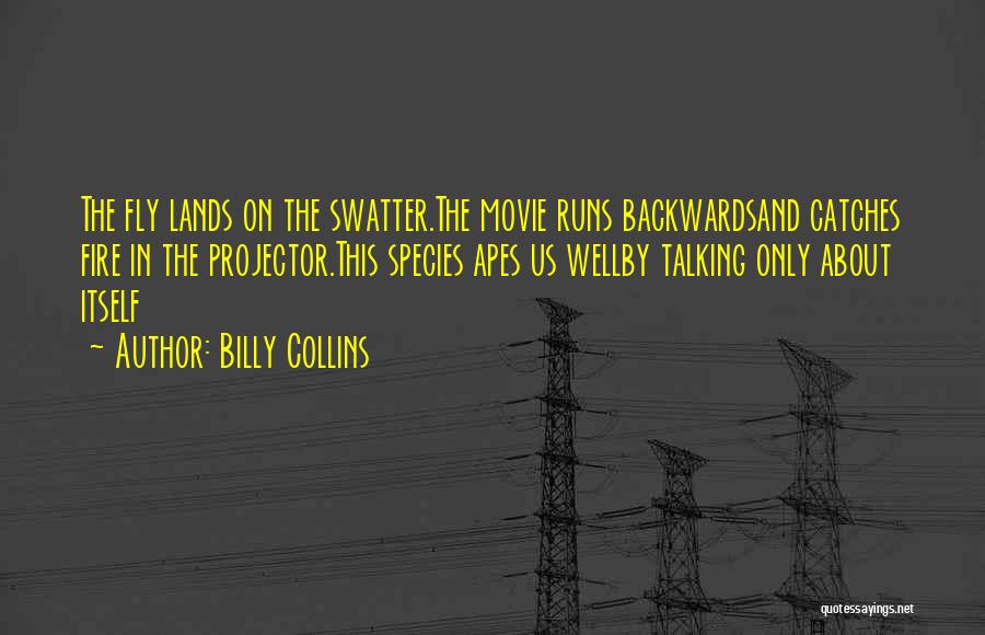 Billy Collins Quotes: The Fly Lands On The Swatter.the Movie Runs Backwardsand Catches Fire In The Projector.this Species Apes Us Wellby Talking Only