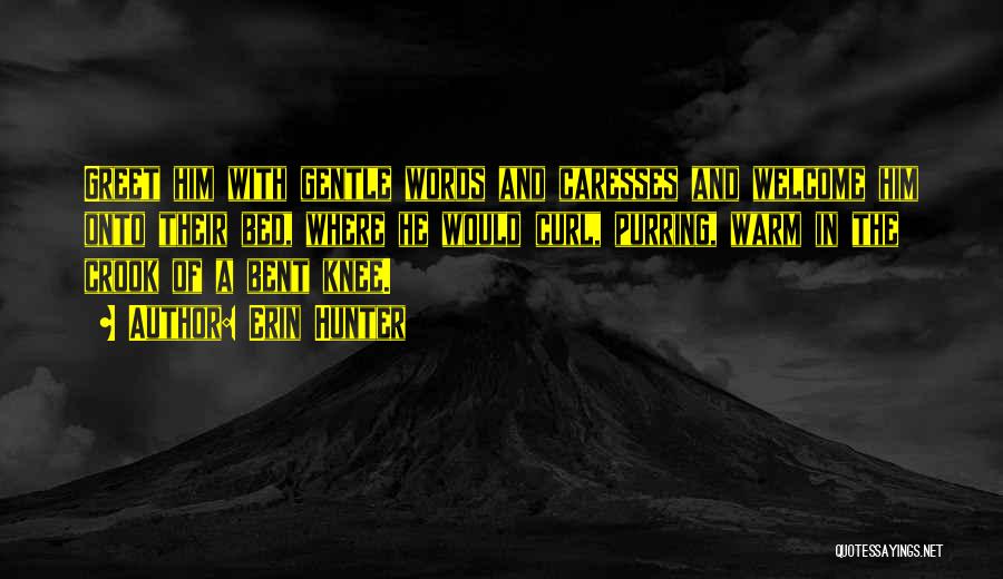 Erin Hunter Quotes: Greet Him With Gentle Words And Caresses And Welcome Him Onto Their Bed, Where He Would Curl, Purring, Warm In
