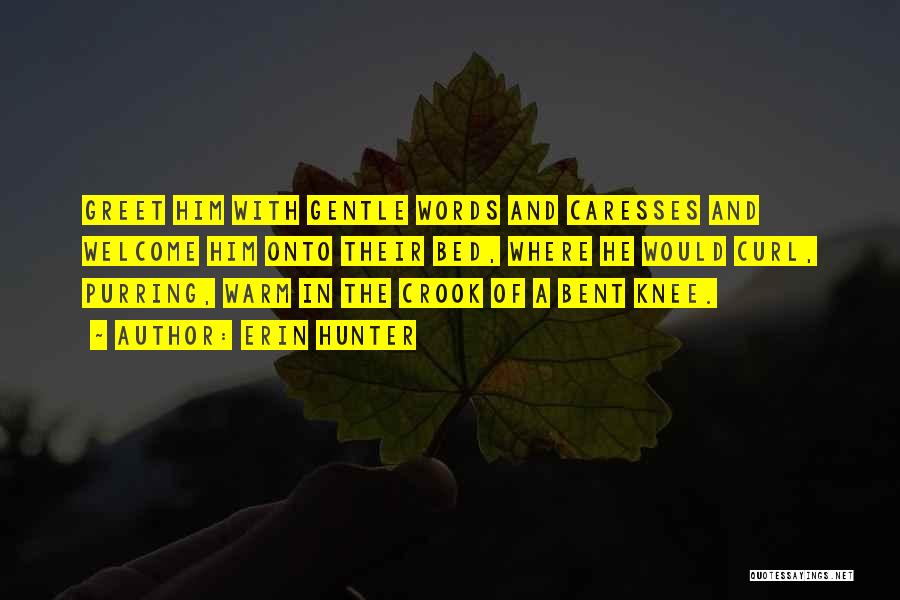 Erin Hunter Quotes: Greet Him With Gentle Words And Caresses And Welcome Him Onto Their Bed, Where He Would Curl, Purring, Warm In