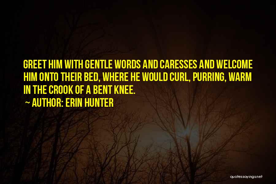 Erin Hunter Quotes: Greet Him With Gentle Words And Caresses And Welcome Him Onto Their Bed, Where He Would Curl, Purring, Warm In