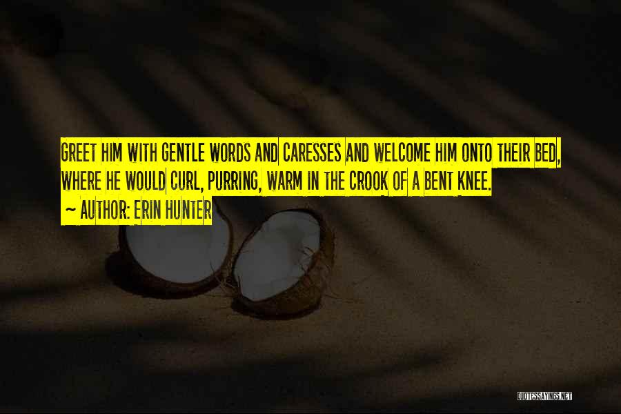 Erin Hunter Quotes: Greet Him With Gentle Words And Caresses And Welcome Him Onto Their Bed, Where He Would Curl, Purring, Warm In