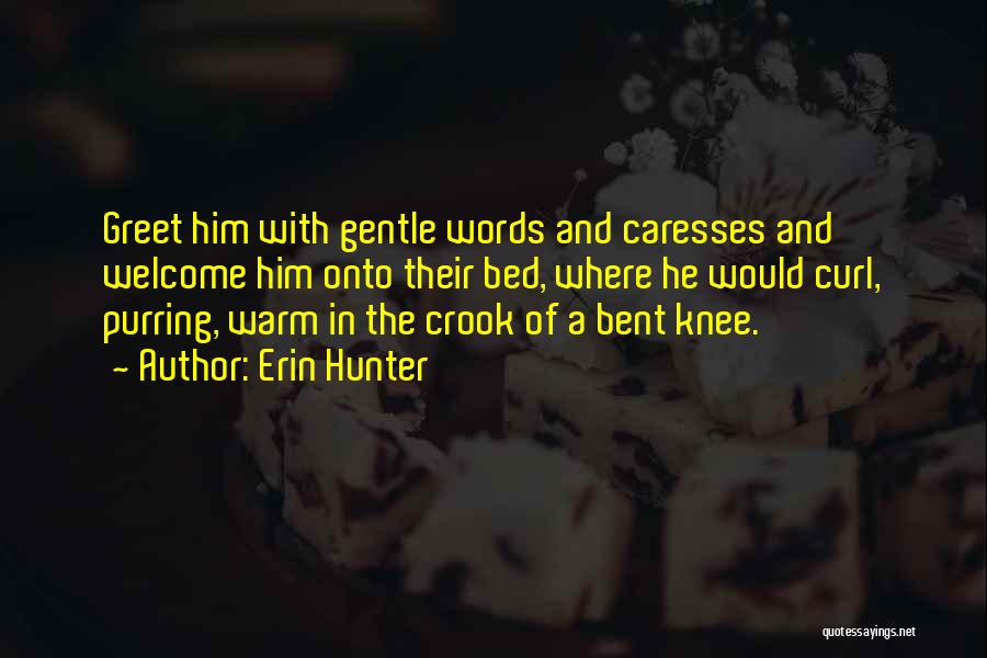 Erin Hunter Quotes: Greet Him With Gentle Words And Caresses And Welcome Him Onto Their Bed, Where He Would Curl, Purring, Warm In