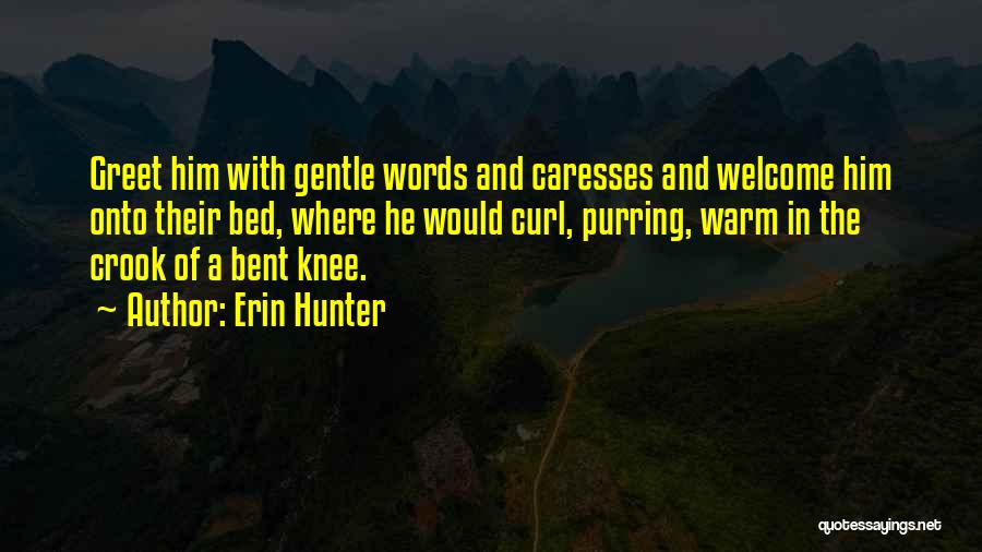 Erin Hunter Quotes: Greet Him With Gentle Words And Caresses And Welcome Him Onto Their Bed, Where He Would Curl, Purring, Warm In