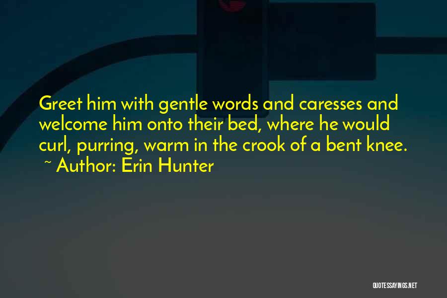 Erin Hunter Quotes: Greet Him With Gentle Words And Caresses And Welcome Him Onto Their Bed, Where He Would Curl, Purring, Warm In
