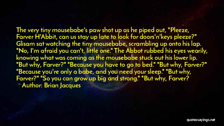 Brian Jacques Quotes: The Very Tiny Mousebabe's Paw Shot Up As He Piped Out, Pleeze, Farver H'abbit, Can Us Stay Up Late To