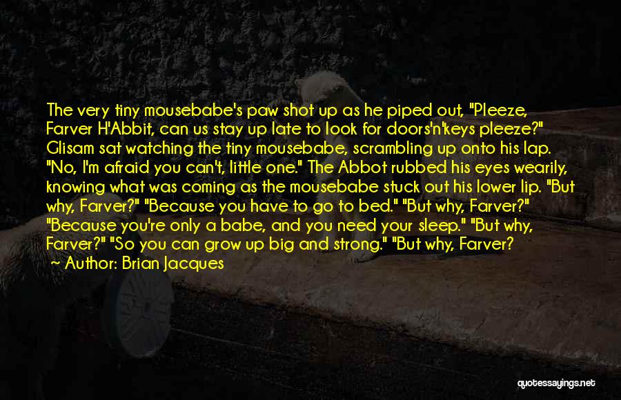 Brian Jacques Quotes: The Very Tiny Mousebabe's Paw Shot Up As He Piped Out, Pleeze, Farver H'abbit, Can Us Stay Up Late To