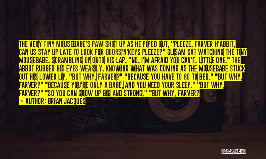 Brian Jacques Quotes: The Very Tiny Mousebabe's Paw Shot Up As He Piped Out, Pleeze, Farver H'abbit, Can Us Stay Up Late To