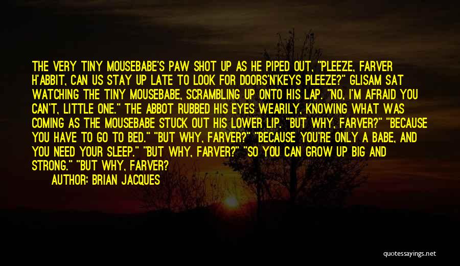 Brian Jacques Quotes: The Very Tiny Mousebabe's Paw Shot Up As He Piped Out, Pleeze, Farver H'abbit, Can Us Stay Up Late To