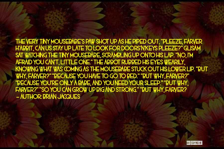 Brian Jacques Quotes: The Very Tiny Mousebabe's Paw Shot Up As He Piped Out, Pleeze, Farver H'abbit, Can Us Stay Up Late To