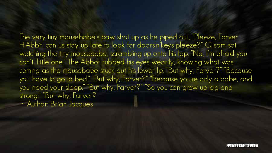 Brian Jacques Quotes: The Very Tiny Mousebabe's Paw Shot Up As He Piped Out, Pleeze, Farver H'abbit, Can Us Stay Up Late To