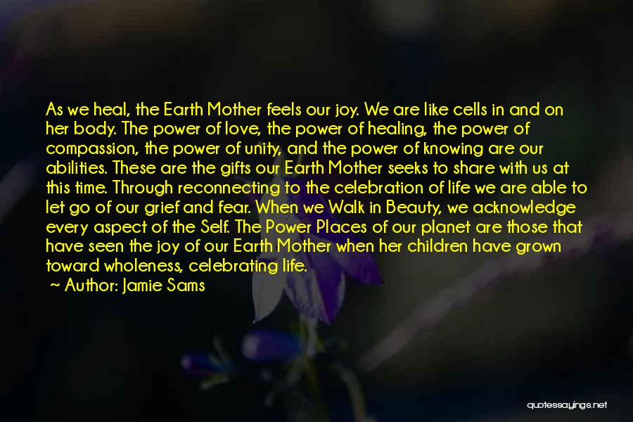 Jamie Sams Quotes: As We Heal, The Earth Mother Feels Our Joy. We Are Like Cells In And On Her Body. The Power