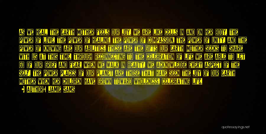 Jamie Sams Quotes: As We Heal, The Earth Mother Feels Our Joy. We Are Like Cells In And On Her Body. The Power
