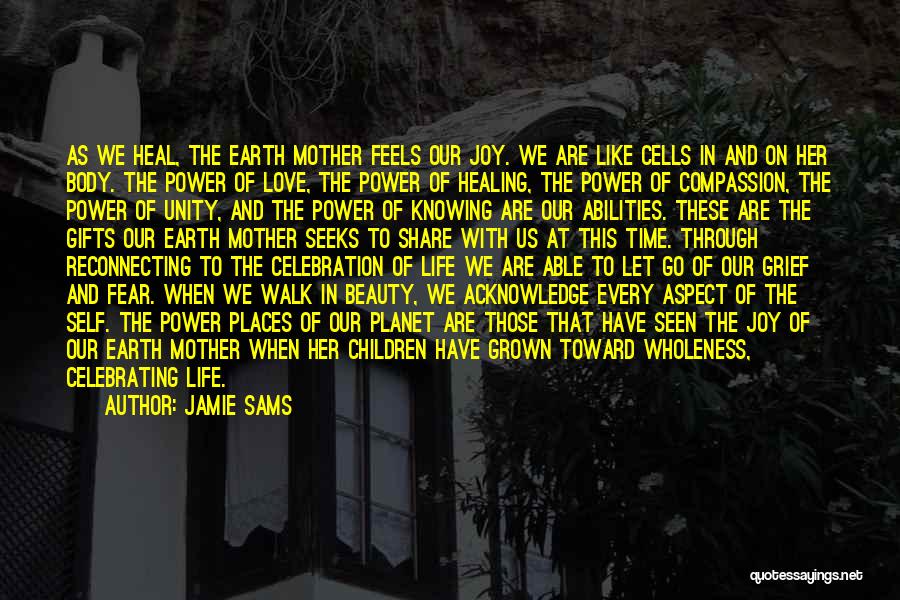 Jamie Sams Quotes: As We Heal, The Earth Mother Feels Our Joy. We Are Like Cells In And On Her Body. The Power