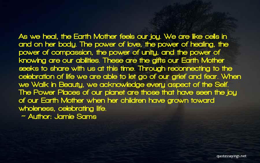 Jamie Sams Quotes: As We Heal, The Earth Mother Feels Our Joy. We Are Like Cells In And On Her Body. The Power