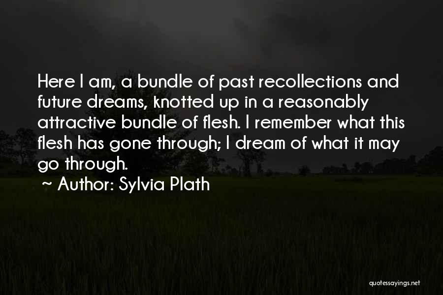 Sylvia Plath Quotes: Here I Am, A Bundle Of Past Recollections And Future Dreams, Knotted Up In A Reasonably Attractive Bundle Of Flesh.