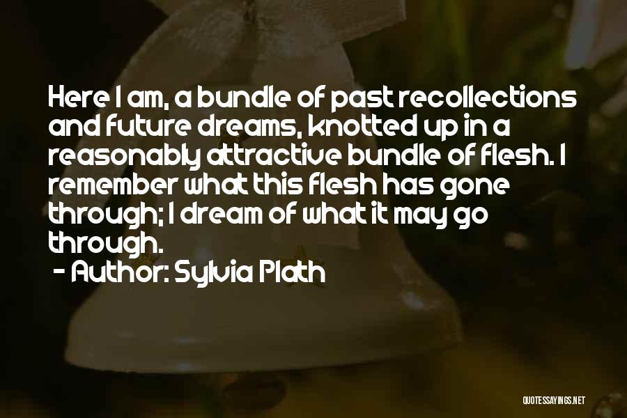 Sylvia Plath Quotes: Here I Am, A Bundle Of Past Recollections And Future Dreams, Knotted Up In A Reasonably Attractive Bundle Of Flesh.