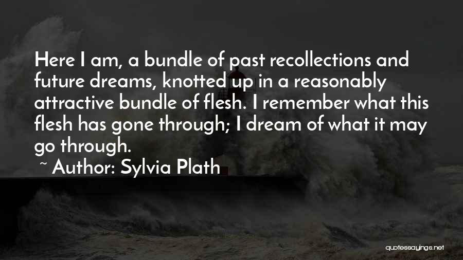 Sylvia Plath Quotes: Here I Am, A Bundle Of Past Recollections And Future Dreams, Knotted Up In A Reasonably Attractive Bundle Of Flesh.