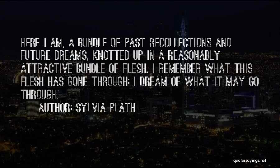 Sylvia Plath Quotes: Here I Am, A Bundle Of Past Recollections And Future Dreams, Knotted Up In A Reasonably Attractive Bundle Of Flesh.