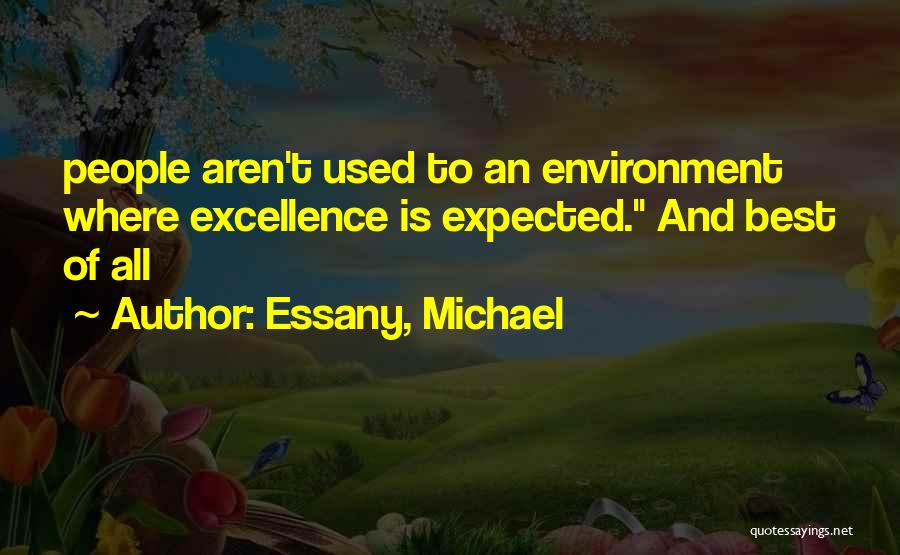 Essany, Michael Quotes: People Aren't Used To An Environment Where Excellence Is Expected. And Best Of All