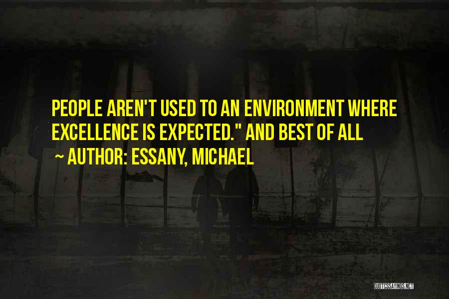 Essany, Michael Quotes: People Aren't Used To An Environment Where Excellence Is Expected. And Best Of All