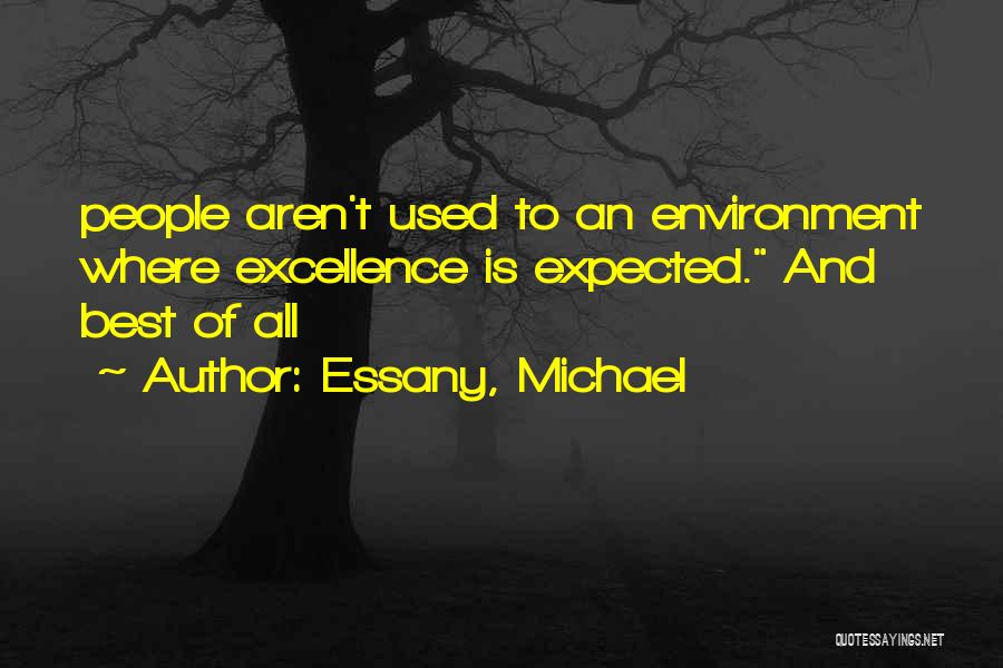 Essany, Michael Quotes: People Aren't Used To An Environment Where Excellence Is Expected. And Best Of All